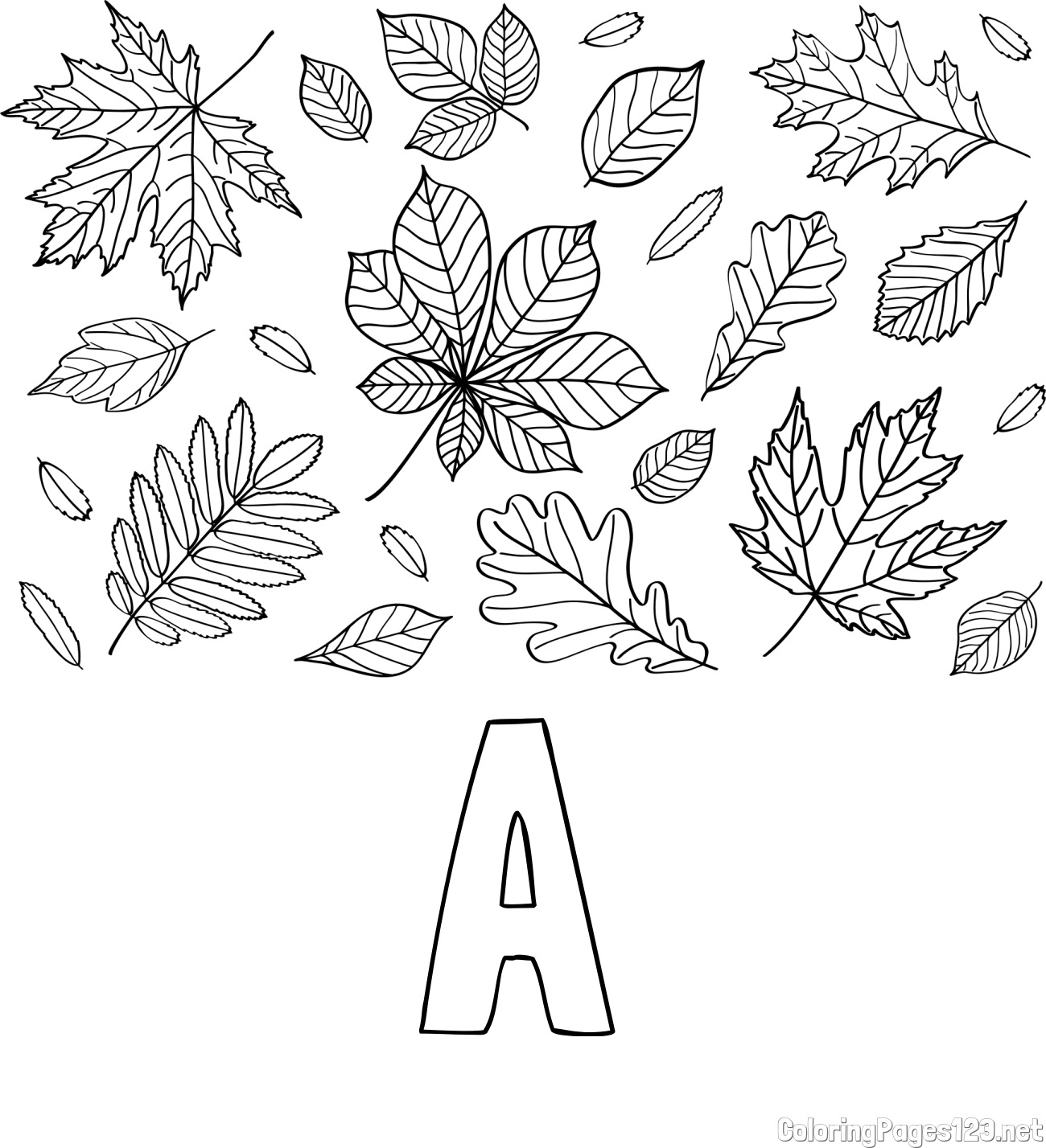 A Coloring Page and Autumn Leaves Coloring Page