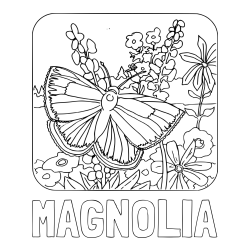 MAGNOLIA Coloring Page and Butterfly on Flower Coloring Page