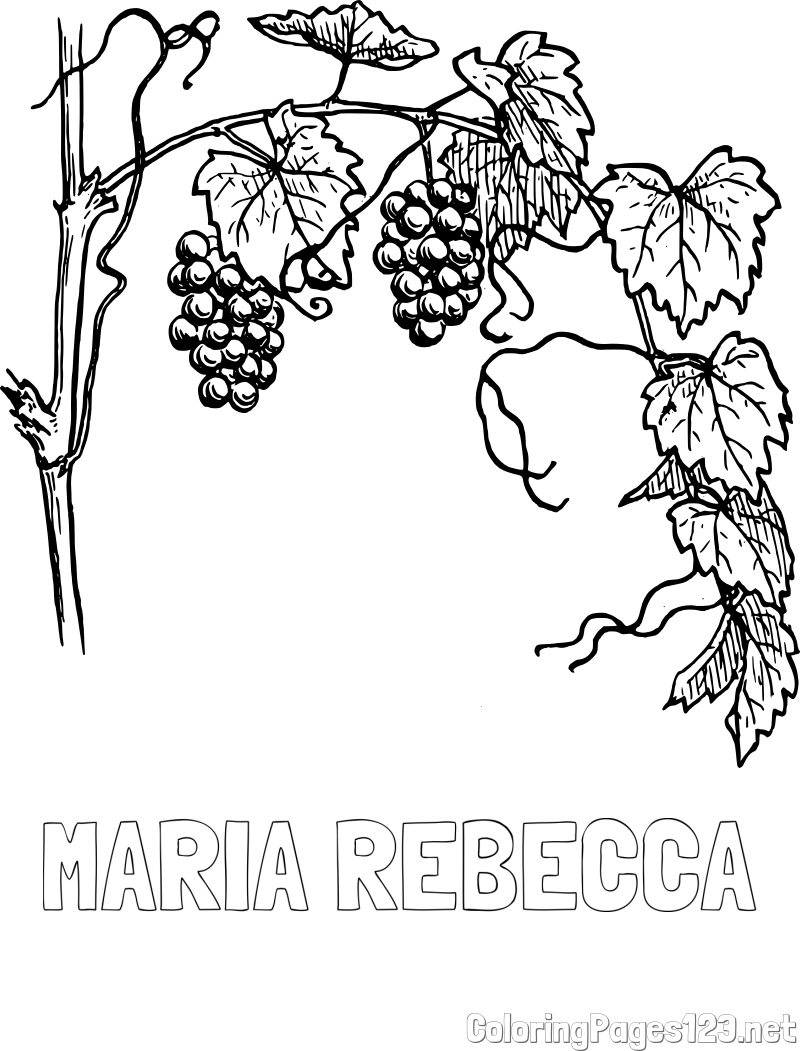 MARIA REBECCA Coloring Page and Realistic Vineyard Coloring Page