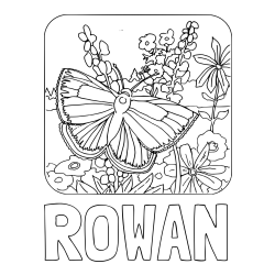 Online Created Coloring Page - ROWAN Coloring Page and Butterfly on Flower Coloring Page