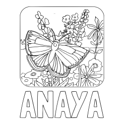 ANAYA Coloring Page and Butterfly on Flower Coloring Page