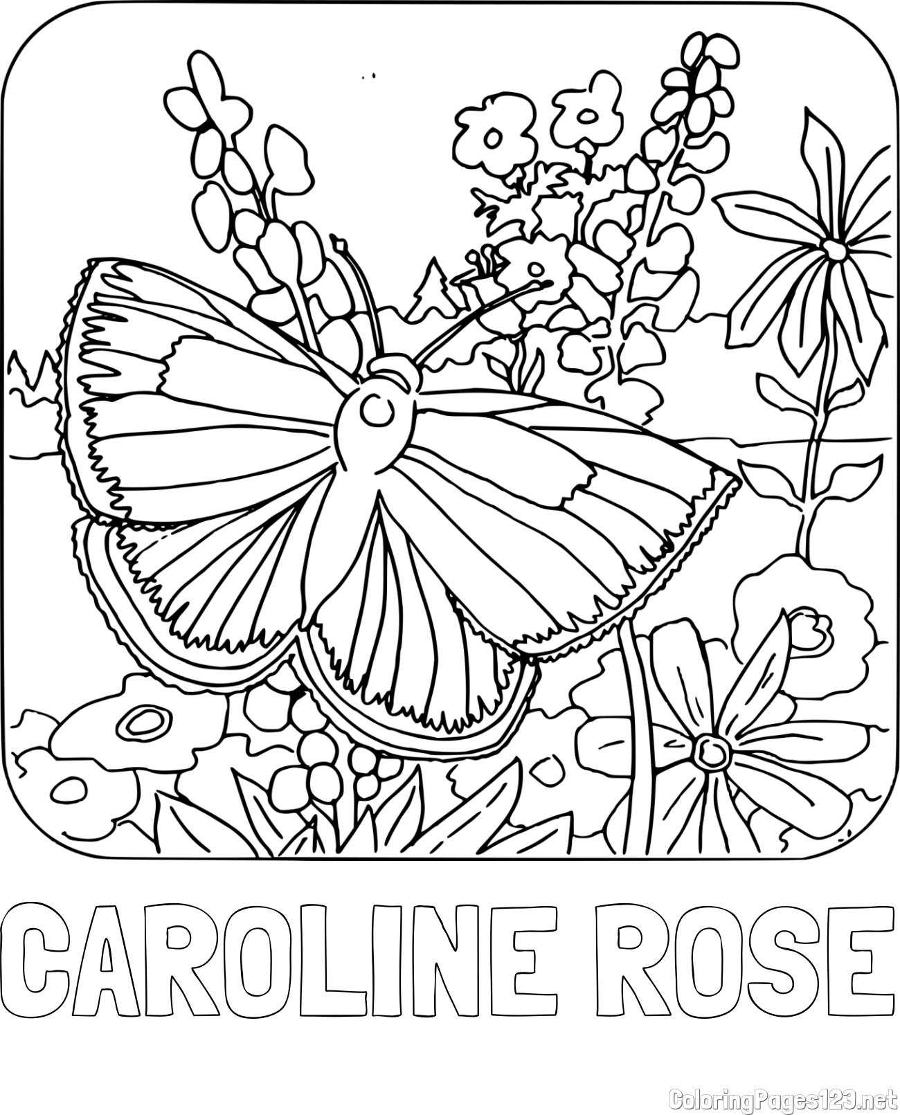 CAROLINE ROSE Coloring Page and Butterfly on Flower Coloring Page