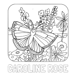 CAROLINE ROSE Coloring Page and Butterfly on Flower Coloring Page