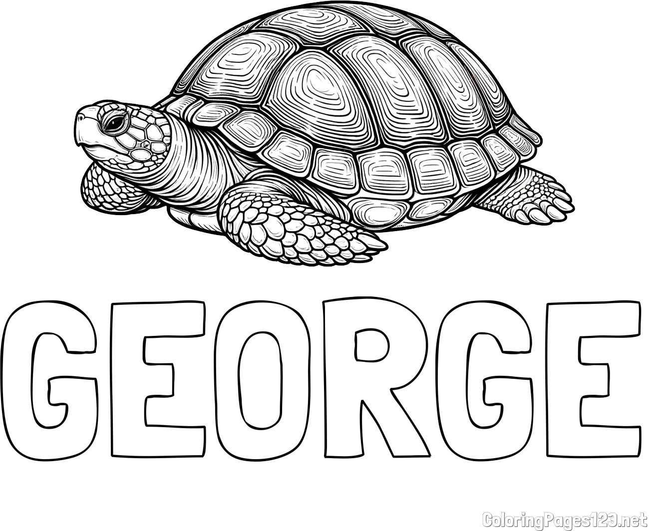 GEORGE Coloring Page and Turtle Coloring Page for Adults
