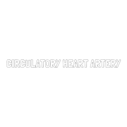 CIRCULATORY HEART ARTERY Coloring Page
