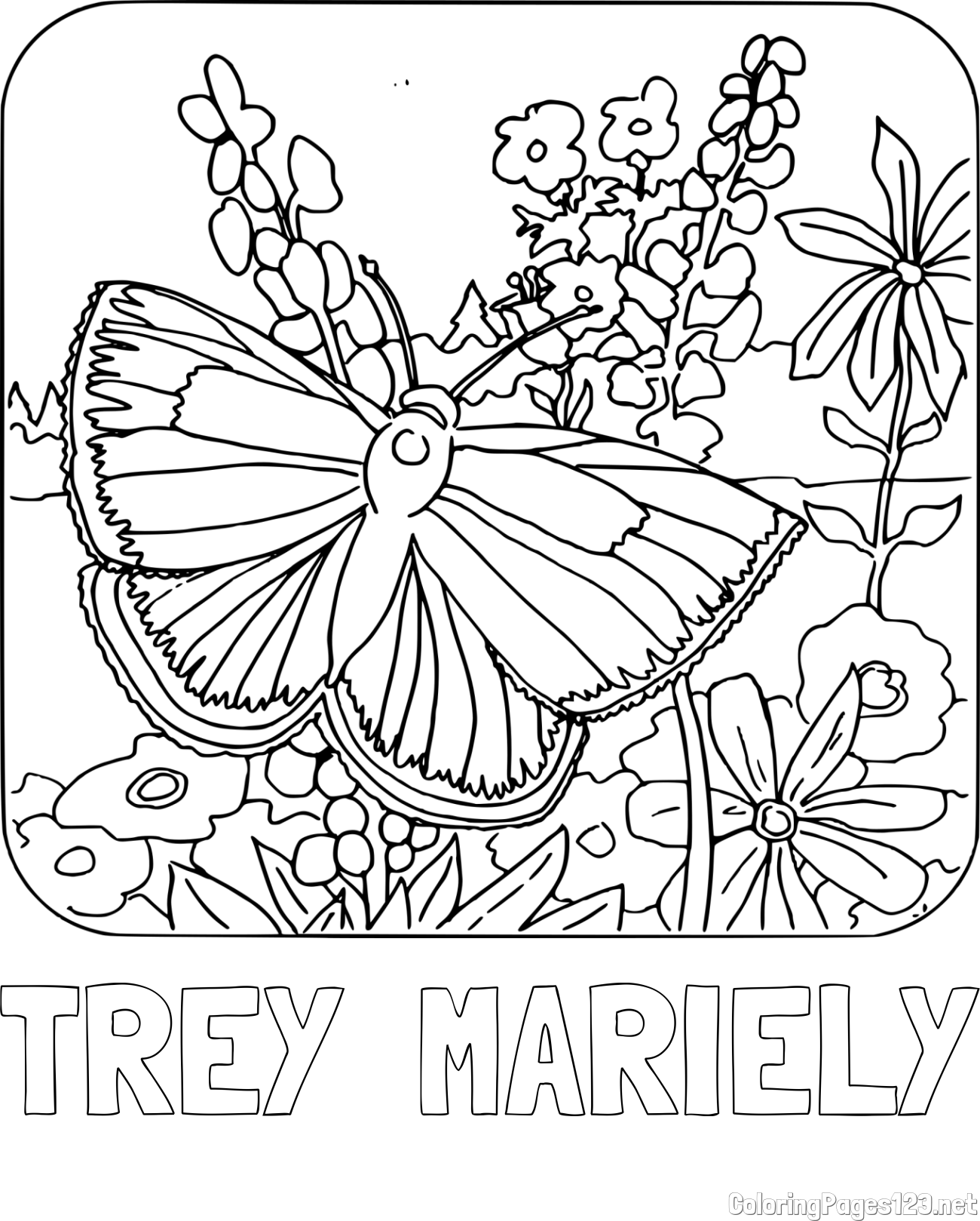 TREY  MARIELY Coloring Page and Butterfly on Flower Coloring Page