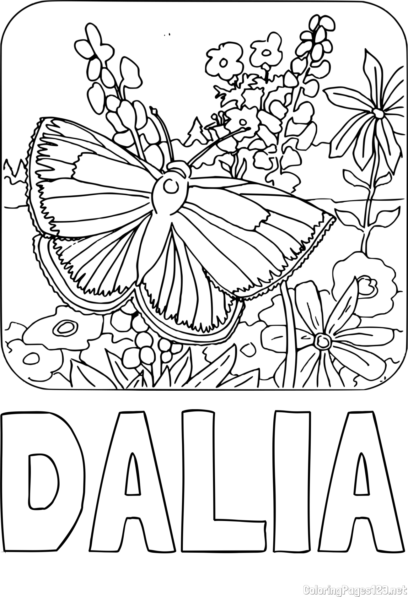 DALIA Coloring Page and Butterfly on Flower Coloring Page