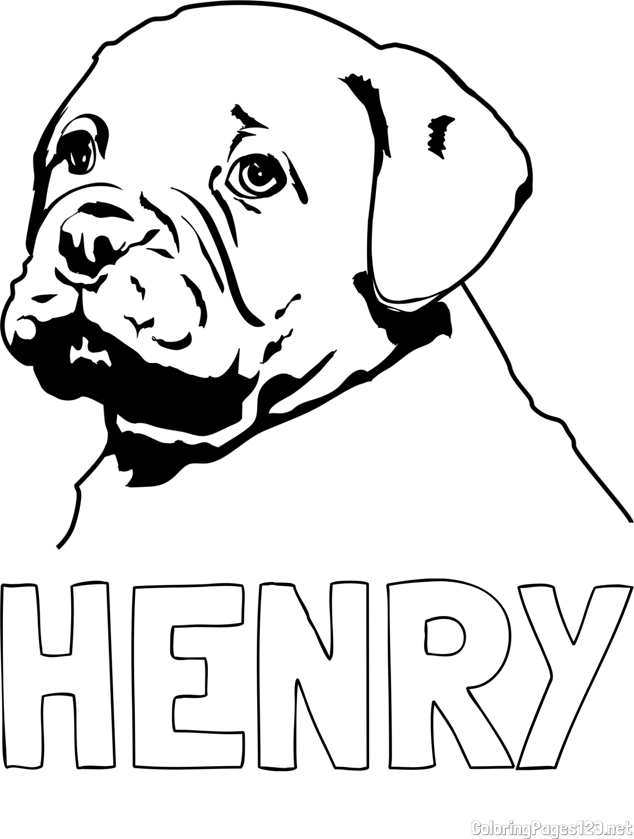 HENRY Coloring Page and The Coloring Page of an Adorable Bulldog Puppy