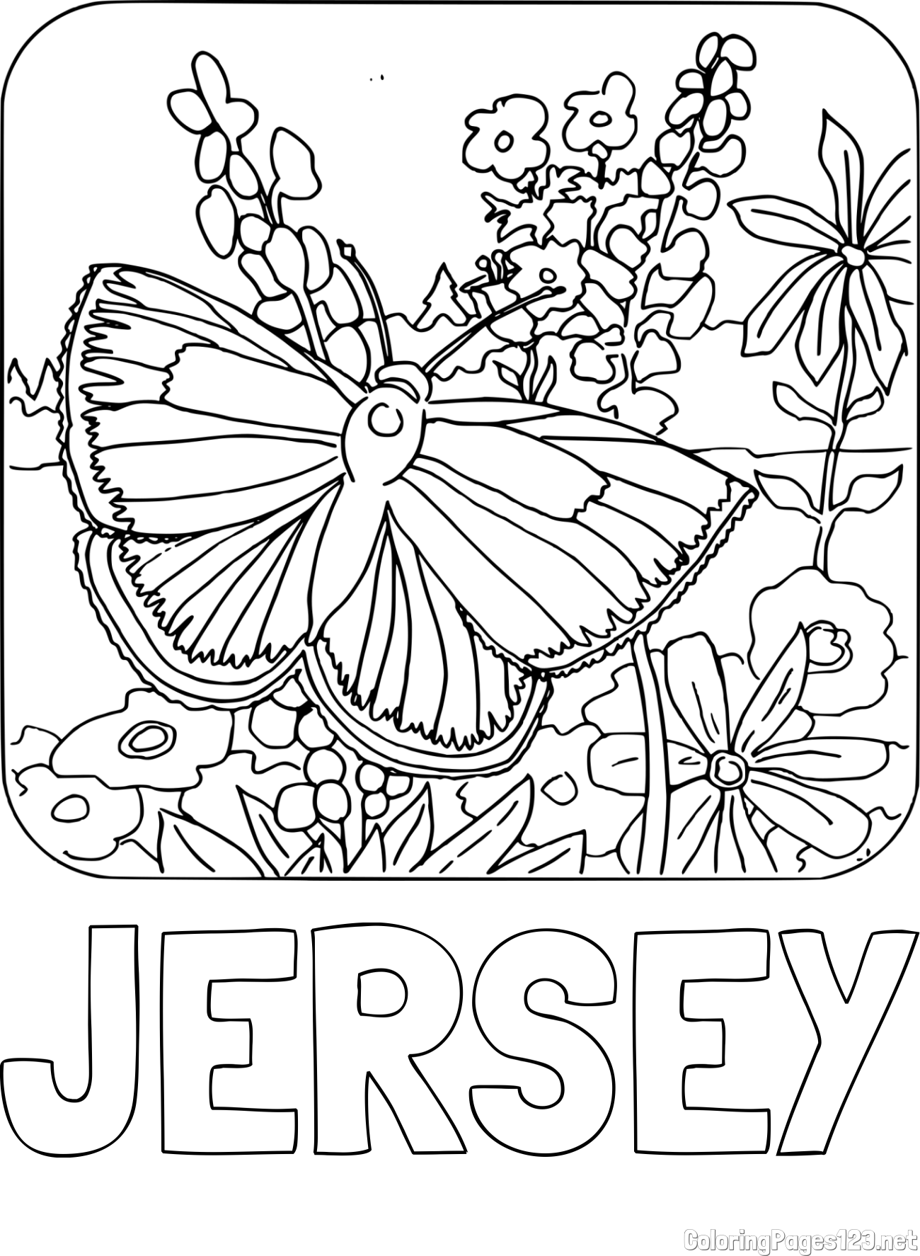 JERSEY Coloring Page and Butterfly on Flower Coloring Page