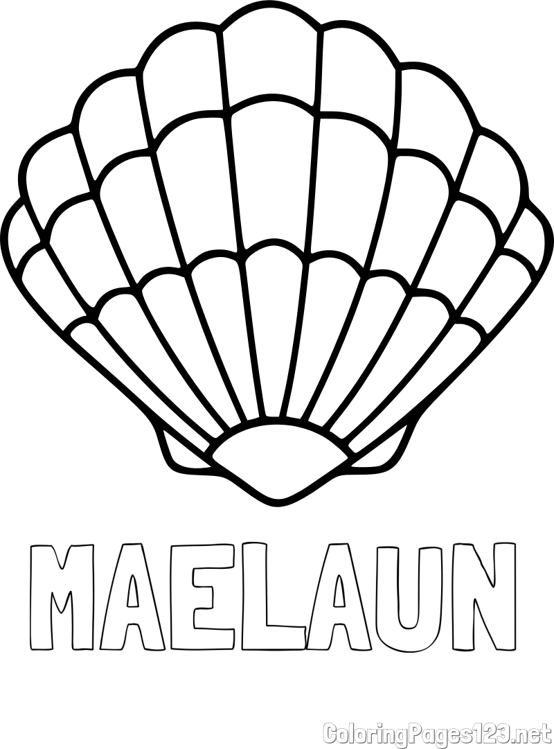 MAELAUN Coloring Page and Easy Seashell Coloring Page