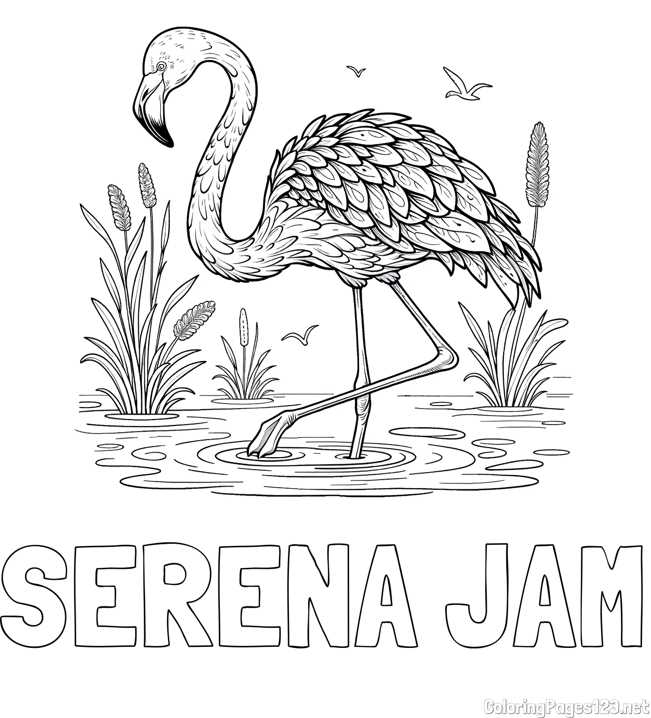 SERENA JAM Coloring Page and Coloring Page of a Realistic Flamingo