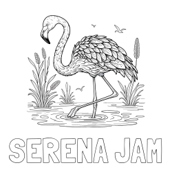 SERENA JAM Coloring Page and Coloring Page of a Realistic Flamingo