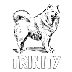 Online Created Coloring Page - TRINITY Coloring Page and Coloring Page of a Beautiful Siberian Husky