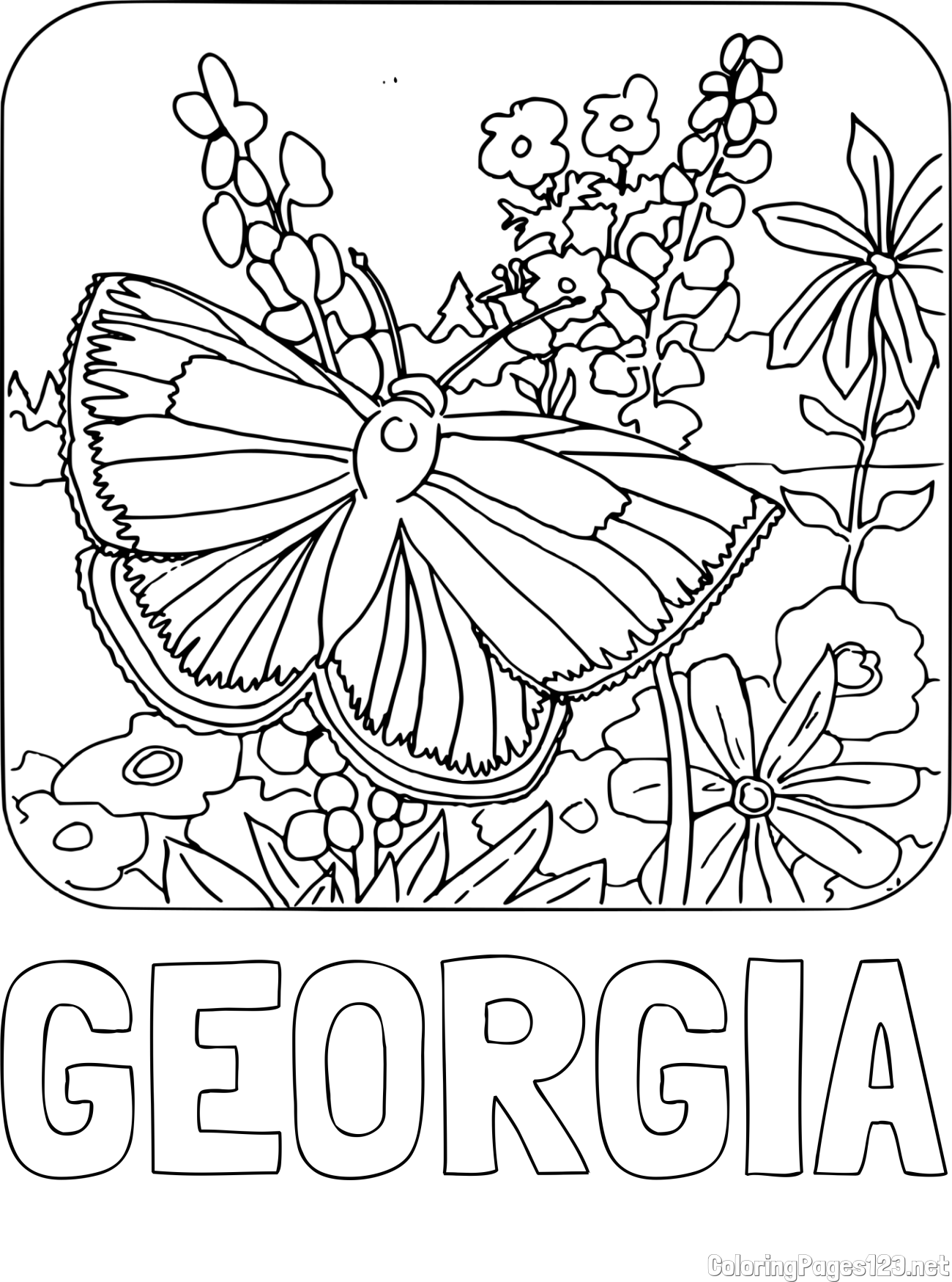 GEORGIA Coloring Page and Butterfly on Flower Coloring Page