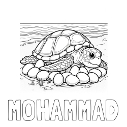 Online Created Coloring Page - MOHAMMAD Coloring Page and Coloring Page of a Realistic Sea Turtle Laying Eggs