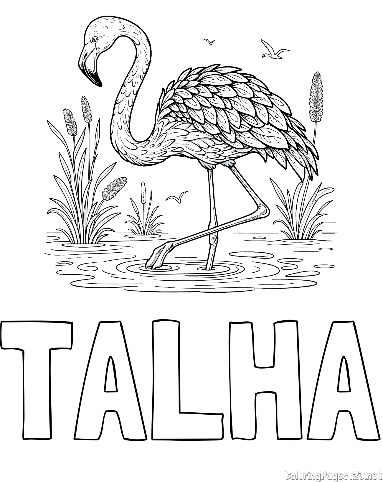 TALHA Coloring Page and Coloring Page of a Realistic Flamingo