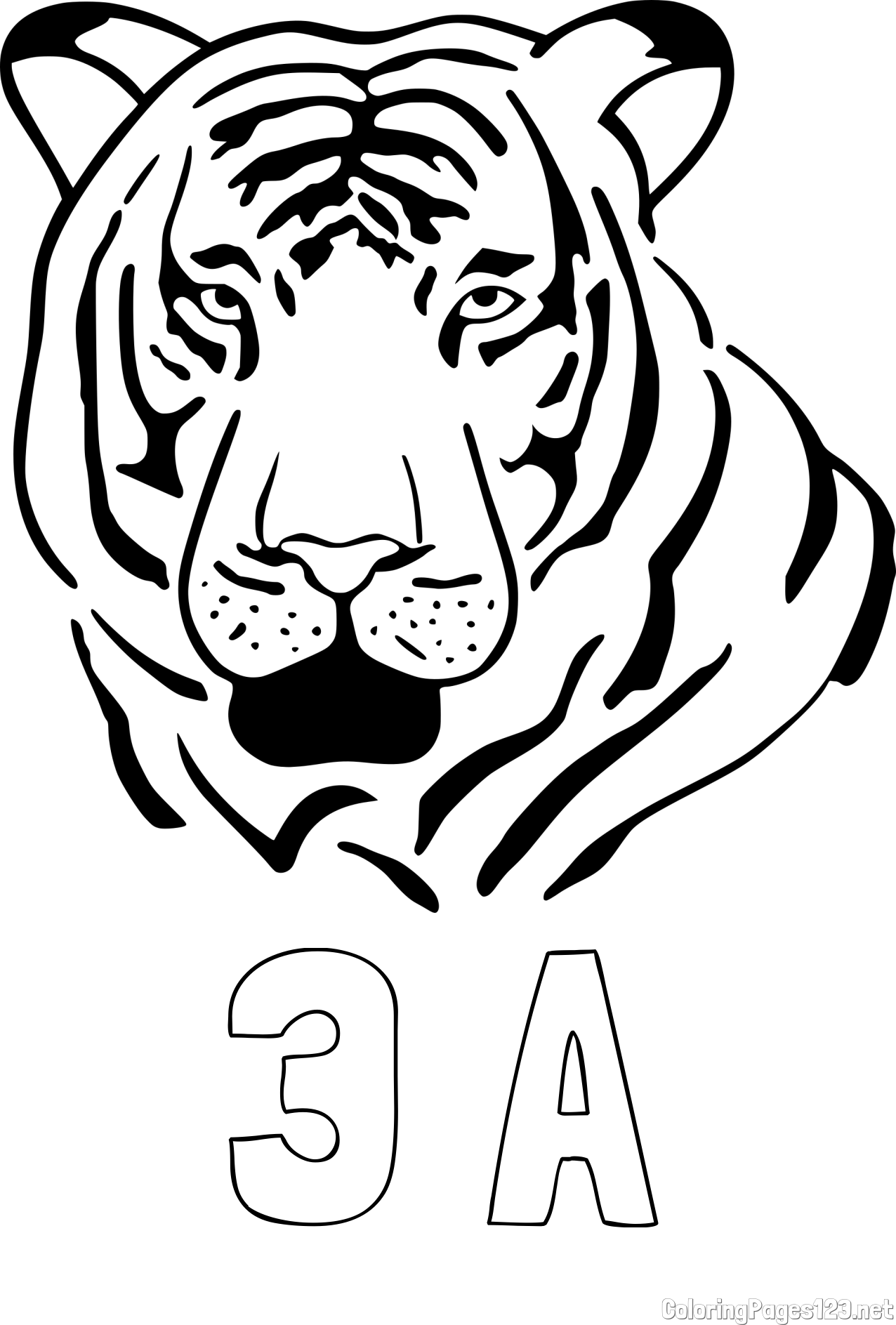 3 A Coloring Page and Tiger Head Coloring Page