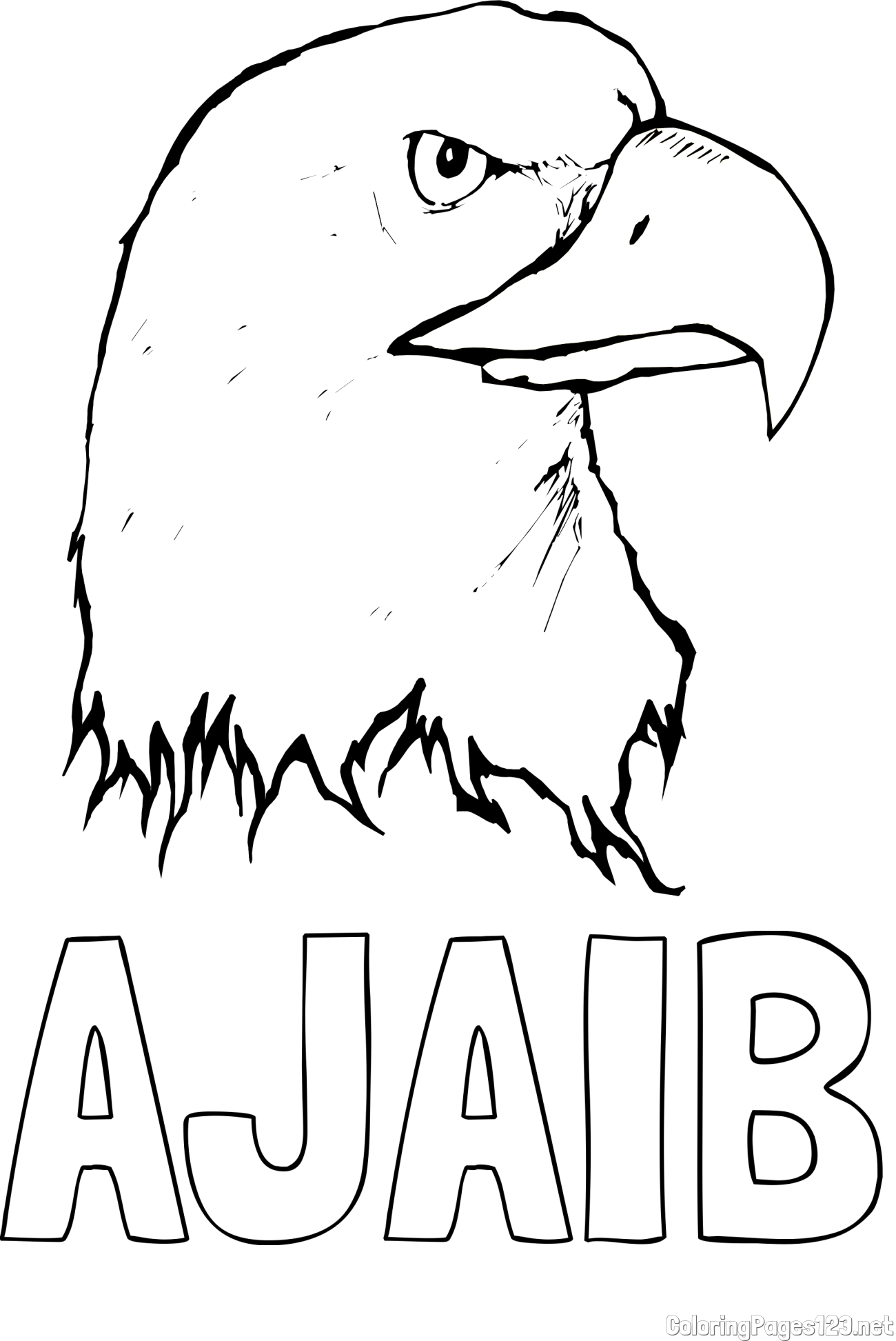 AJAIB Coloring Page and American Bald Eagle Head Coloring Page