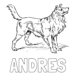 Online Created Coloring Page - ANDRES Coloring Page and Coloring Page of an Adorable Dog