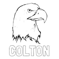 Online Created Coloring Page - COLTON Coloring Page and American Bald Eagle Head Coloring Page