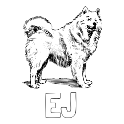 EJ Coloring Page and Coloring Page of a Beautiful Siberian Husky