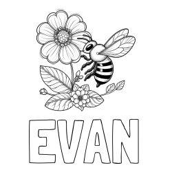 EVAN Coloring Page and Children's Coloring Book of a Little Bee and Flowers