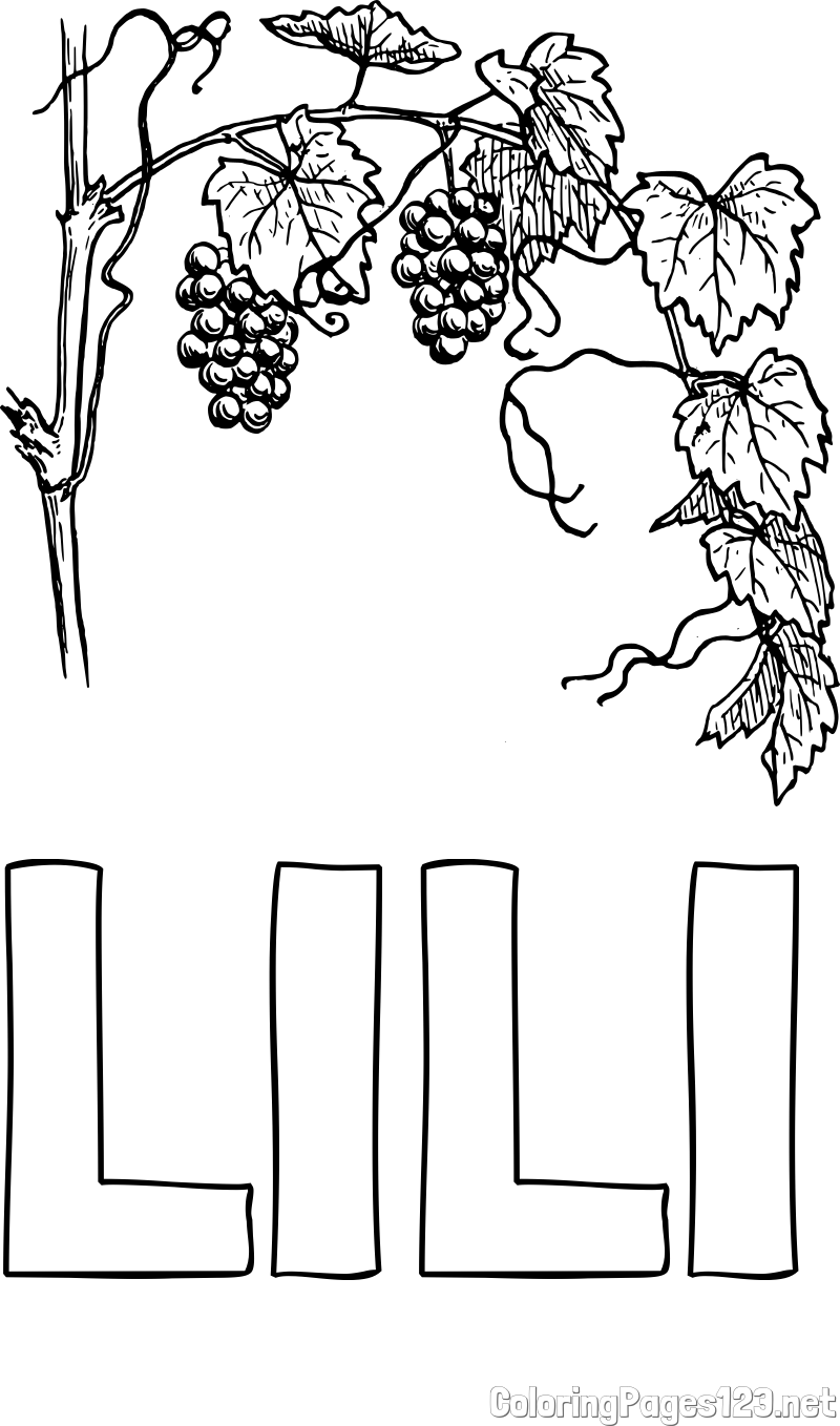 LILI Coloring Page and Realistic Vineyard Coloring Page