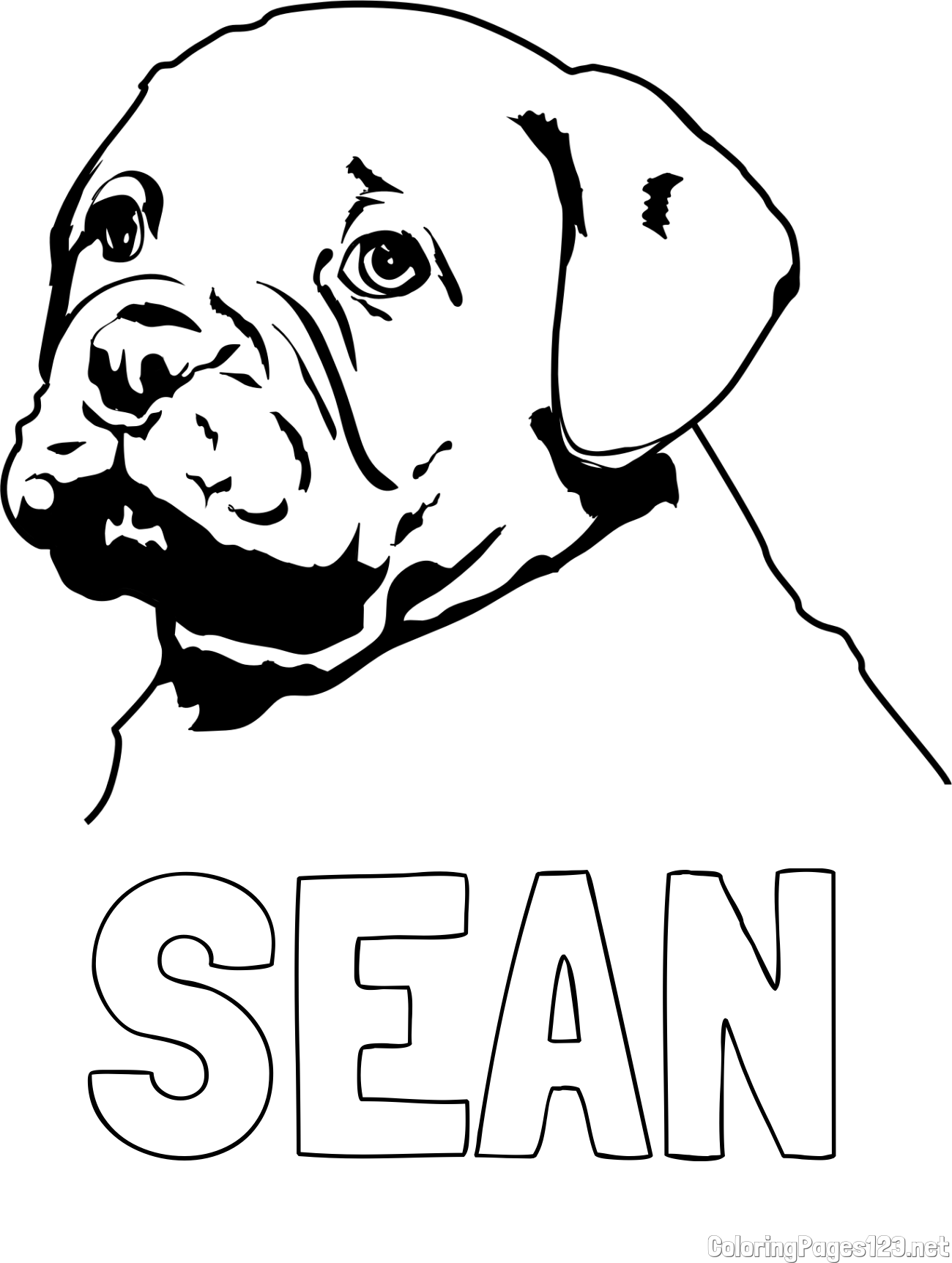 SEAN Coloring Page and The Coloring Page of an Adorable Bulldog Puppy