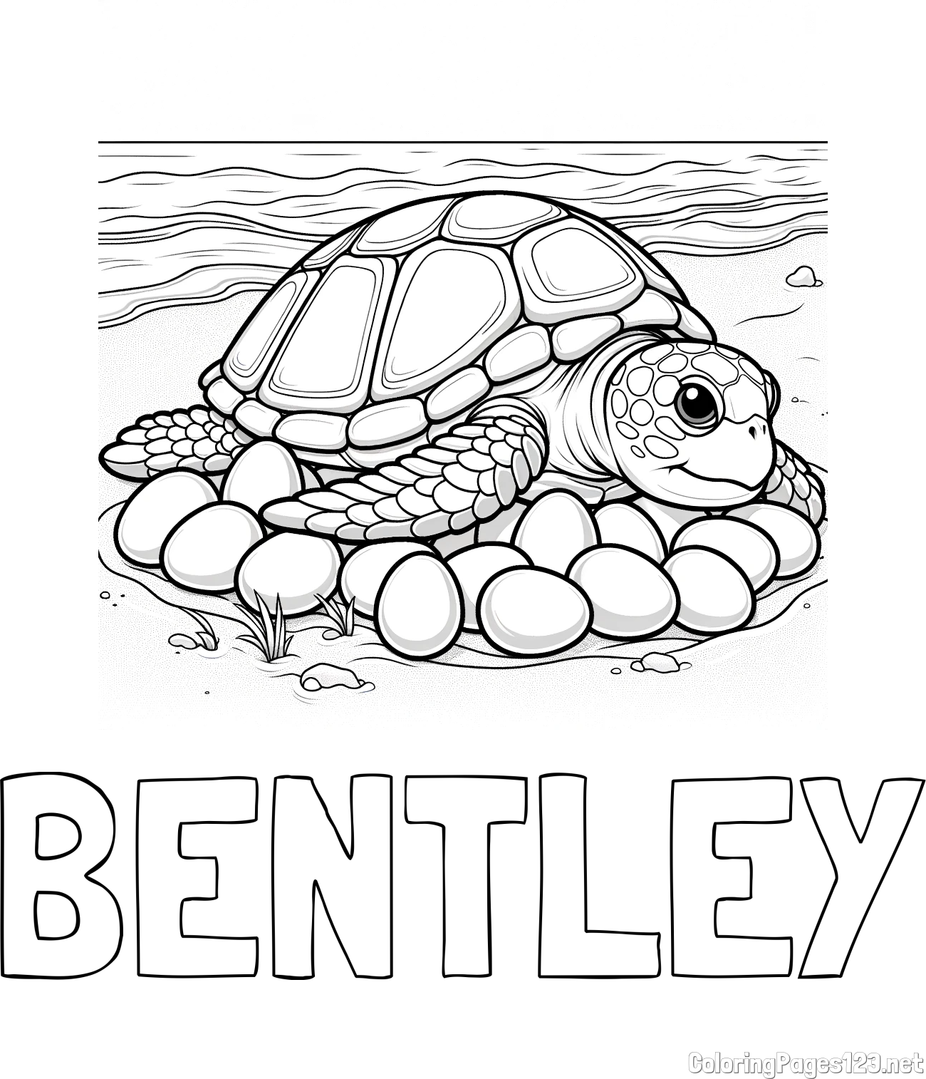 BENTLEY Coloring Page and Coloring Page of a Realistic Sea Turtle Laying Eggs
