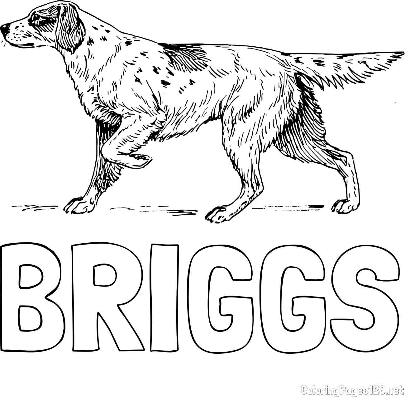 BRIGGS Coloring Page and Coloring Page of a Hunting Dog
