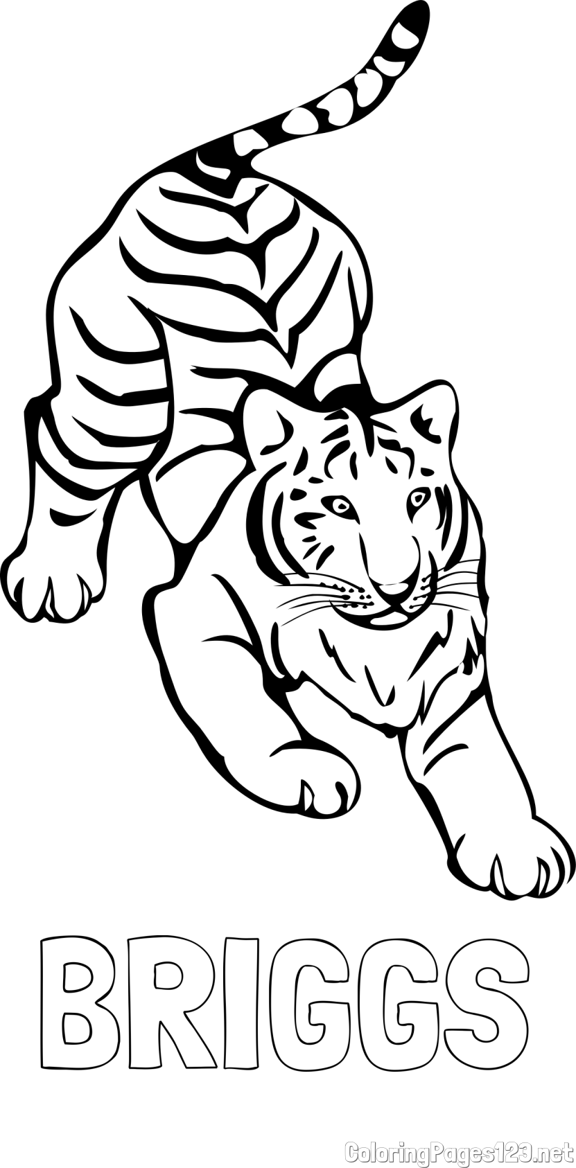 BRIGGS Coloring Page and Playful Tiger Coloring Page