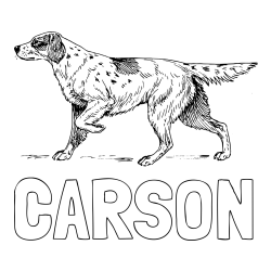 CARSON Coloring Page and Coloring Page of a Hunting Dog