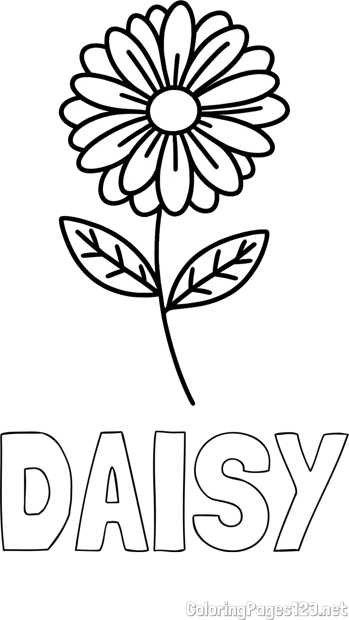 DAISY Coloring Page and Flower Coloring Page
