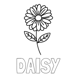 Online Created Coloring Page - DAISY Coloring Page and Flower Coloring Page