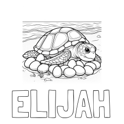 Online Created Coloring Page - ELIJAH Coloring Page and Coloring Page of a Realistic Sea Turtle Laying Eggs