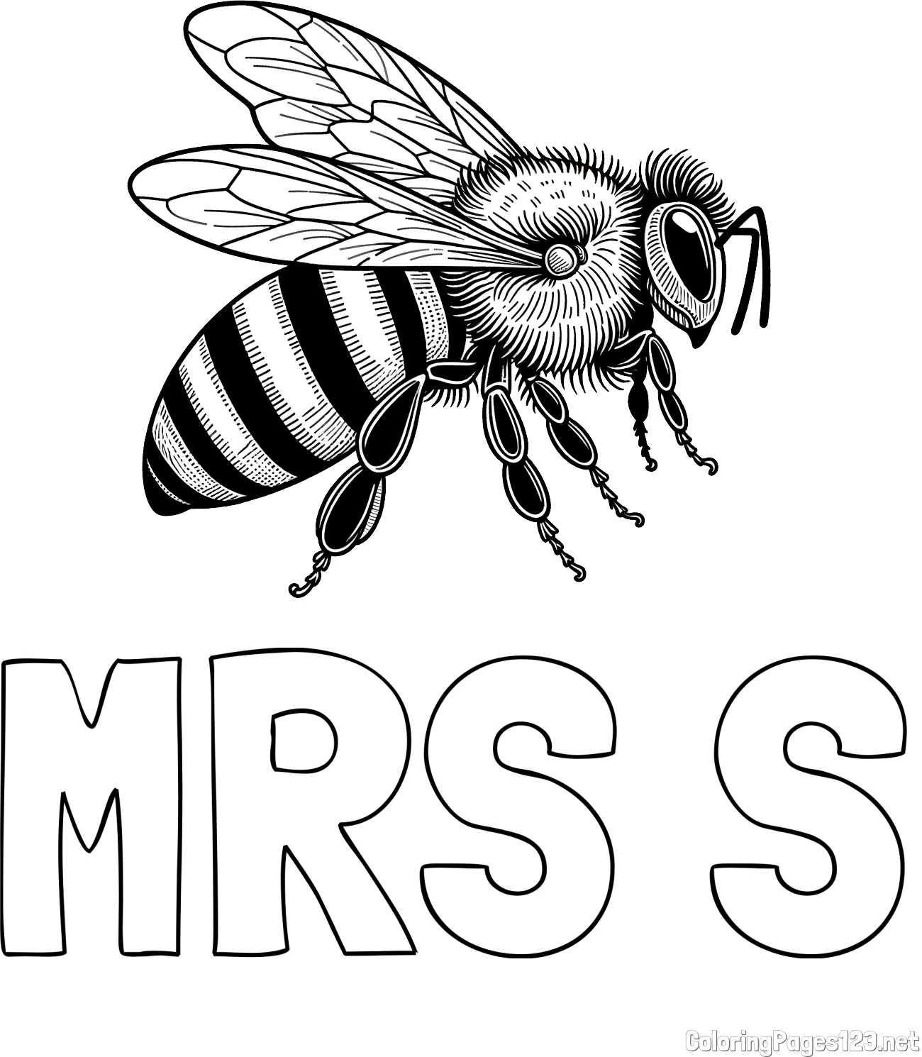 MRS S Coloring Page and Coloring Book of a Realistic Bee