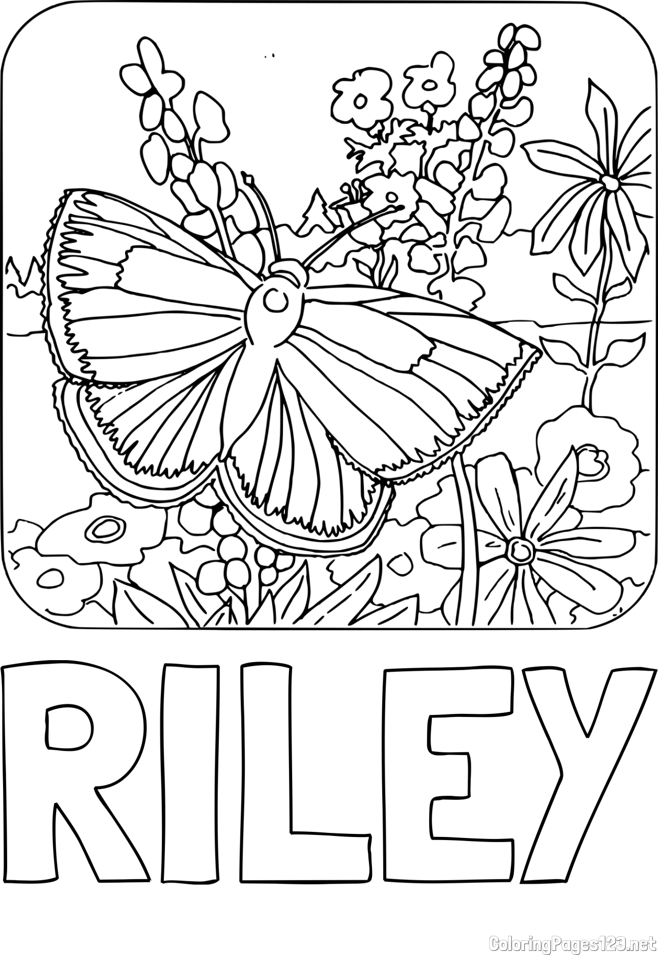 RILEY Coloring Page and Butterfly on Flower Coloring Page