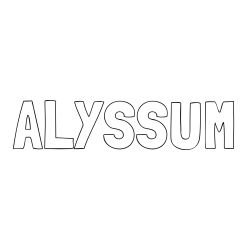 Online Created Coloring Page - ALYSSUM Coloring Page