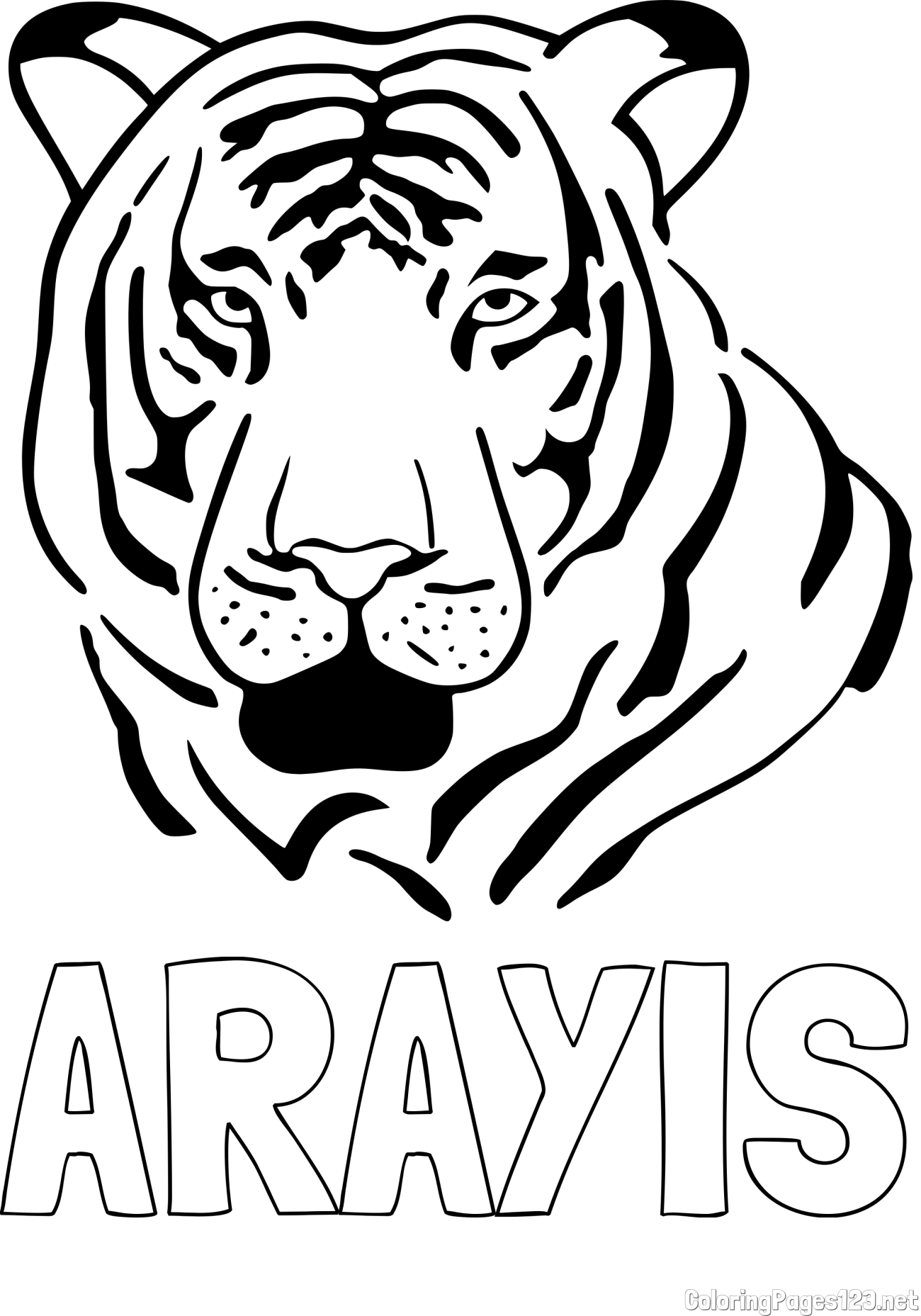 ARAYIS Coloring Page and Tiger Head Coloring Page
