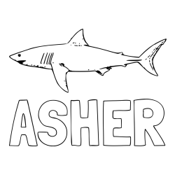 Online Created Coloring Page - ASHER Coloring Page and Realistic Shark Coloring Page