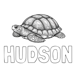 Online Created Coloring Page - HUDSON Coloring Page and Turtle Coloring Page for Adults