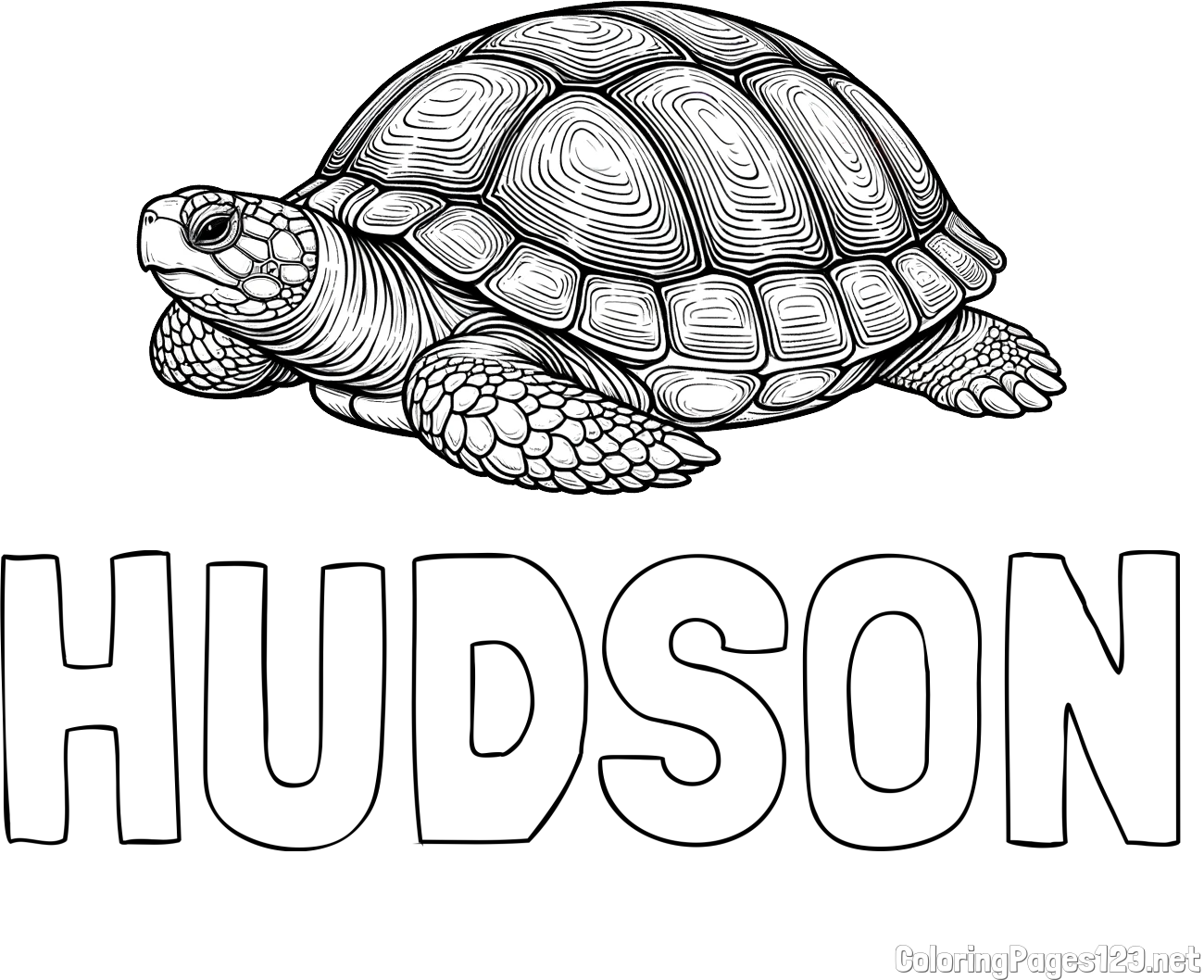 HUDSON Coloring Page and Turtle Coloring Page for Adults