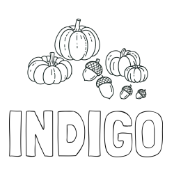 Online Created Coloring Page - INDIGO Coloring Page and Autumn Harvest Coloring Page - Acorns and Pumpkins