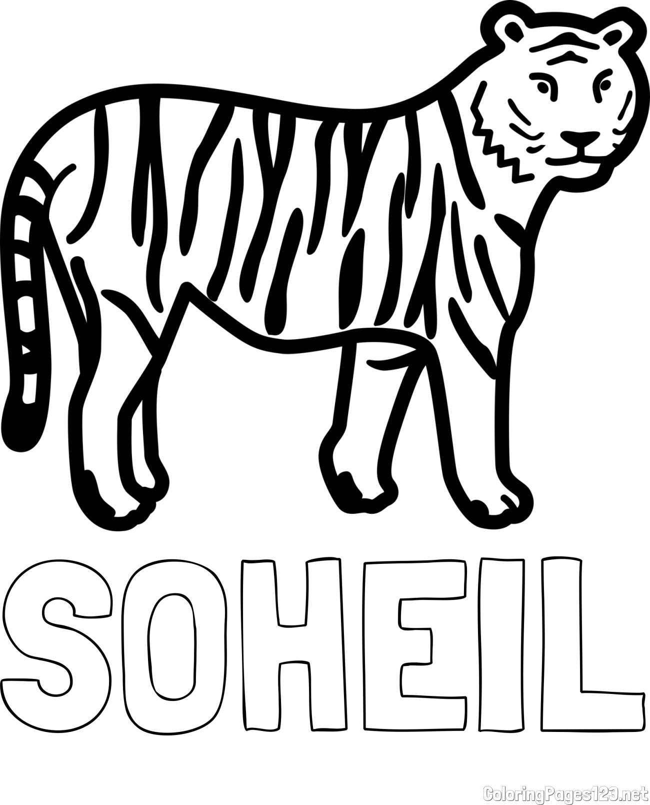 SOHEIL Coloring Page and Easy Tiger Coloring Page