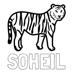 Online Created Coloring Page - SOHEIL Coloring Page and Easy Tiger Coloring Page
