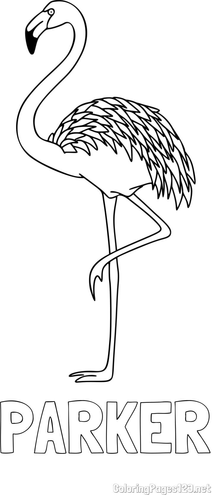 PARKER Coloring Page and Coloring Page of a Flamingo