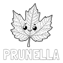 Online Created Coloring Page - PRUNELLA Coloring Page and Smiling Leaf Coloring Page for Kids