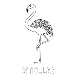 Online Created Coloring Page - STELLAN Coloring Page and Coloring Page of a Flamingo