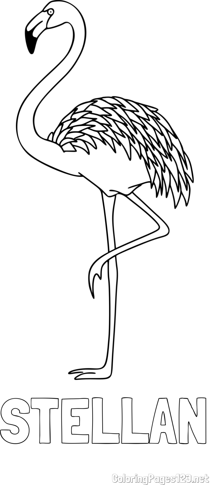 STELLAN Coloring Page and Coloring Page of a Flamingo
