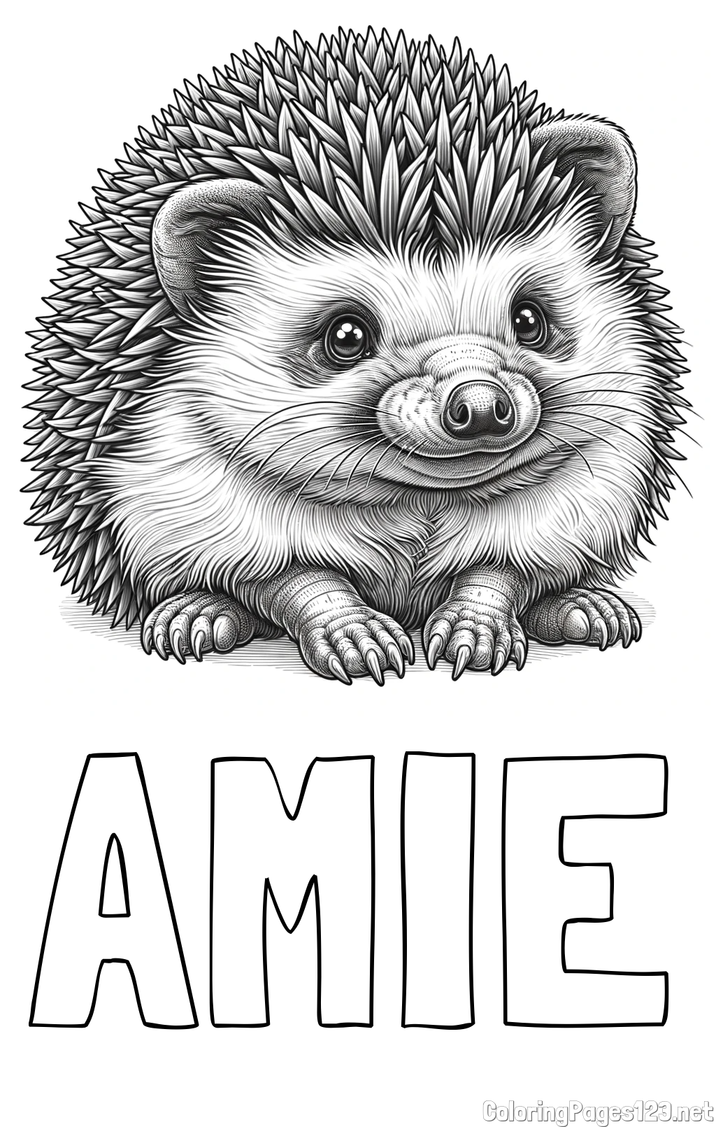 AMIE Coloring Page alongside Realistic Hedgehog Coloring Page